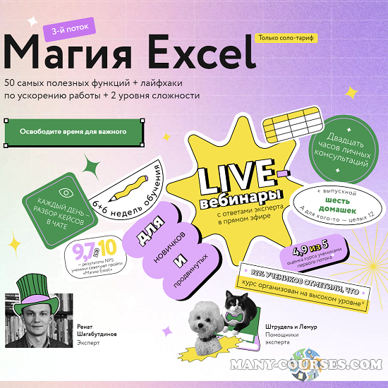 Ренат Шагабутдинов / МИФ. Курсы - Магия Excel. Модуль Магистры. Продвинутый уровень